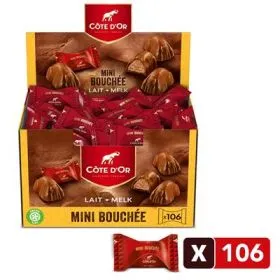 [005031] COTE D'OR BOUCHEES 48 x 25 GR